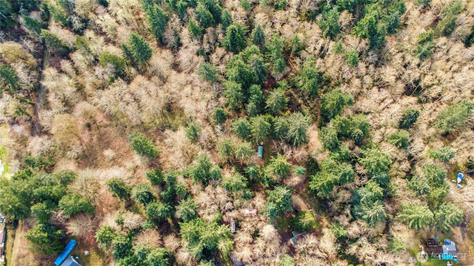 17124 80th Street Southwest Longbranch, WA 98351 - Photo 37 of 37