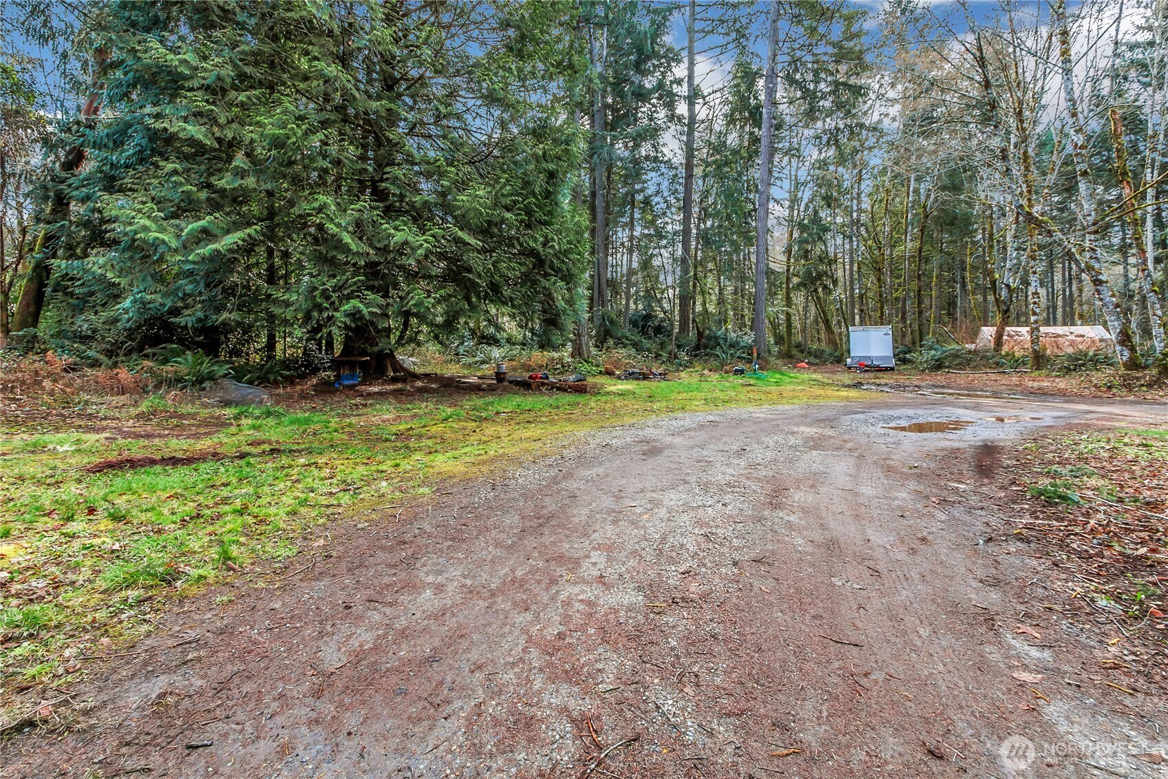 17124 80th Street Southwest Longbranch, WA 98351 - Photo 4 of 37 a view of a park with large trees