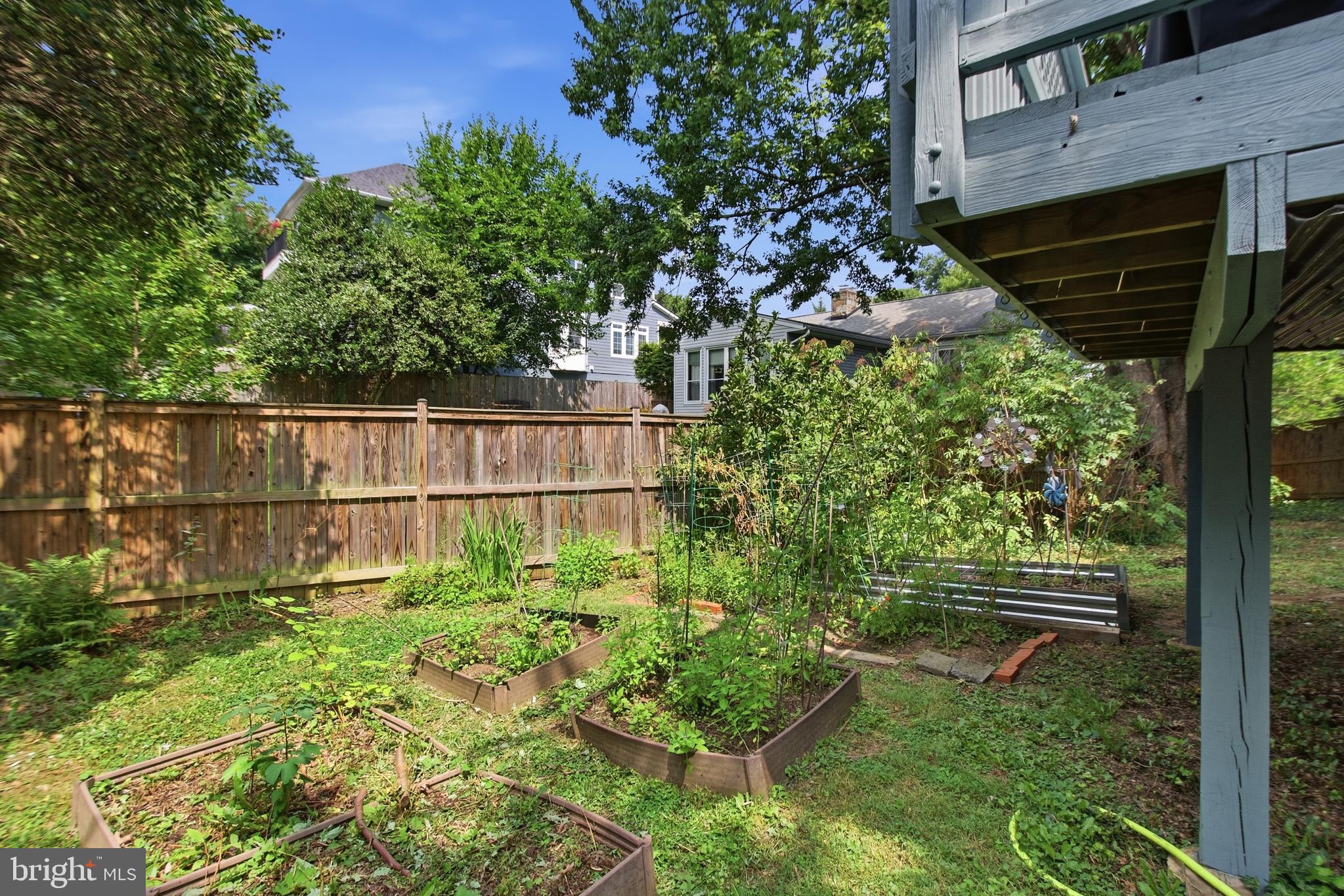 215 West George Mason Road Falls Church, VA 22046 - Photo 45 of 50 a garden view
