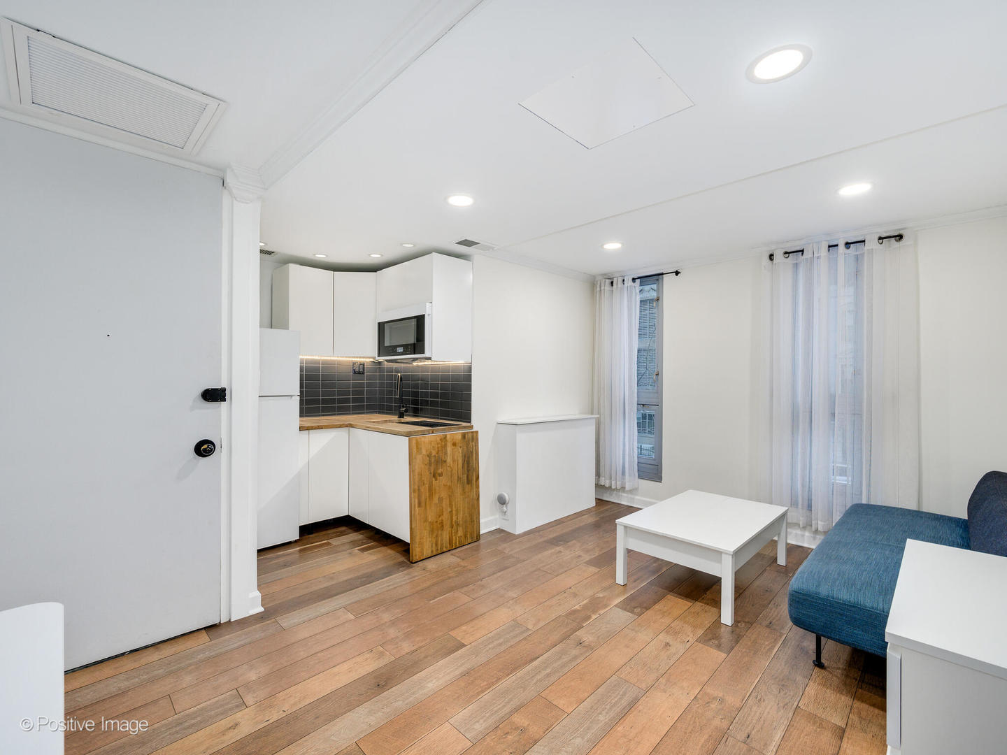 21 West Goethe Street, Unit 2D Chicago, IL 60610 - Photo 3 of 16