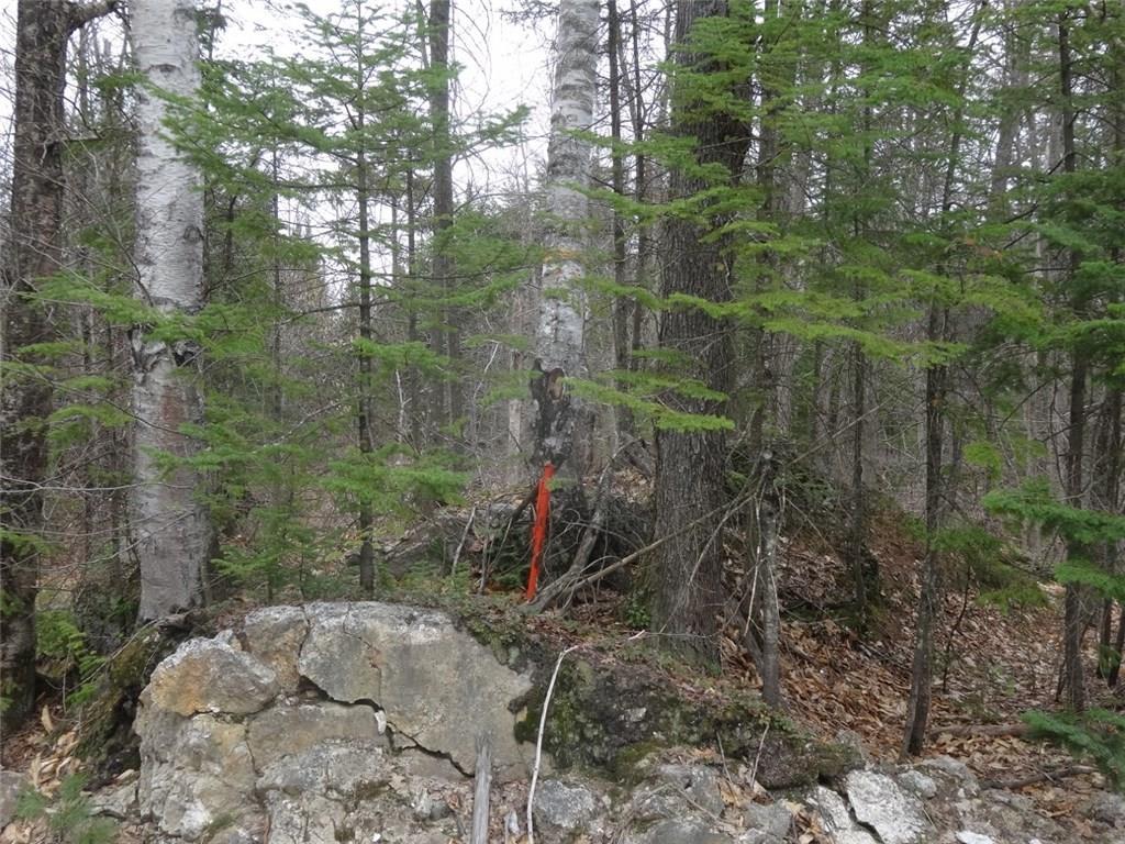 0 Dickvale Road Peru, ME 04290 - Photo 11 of 13 Photo