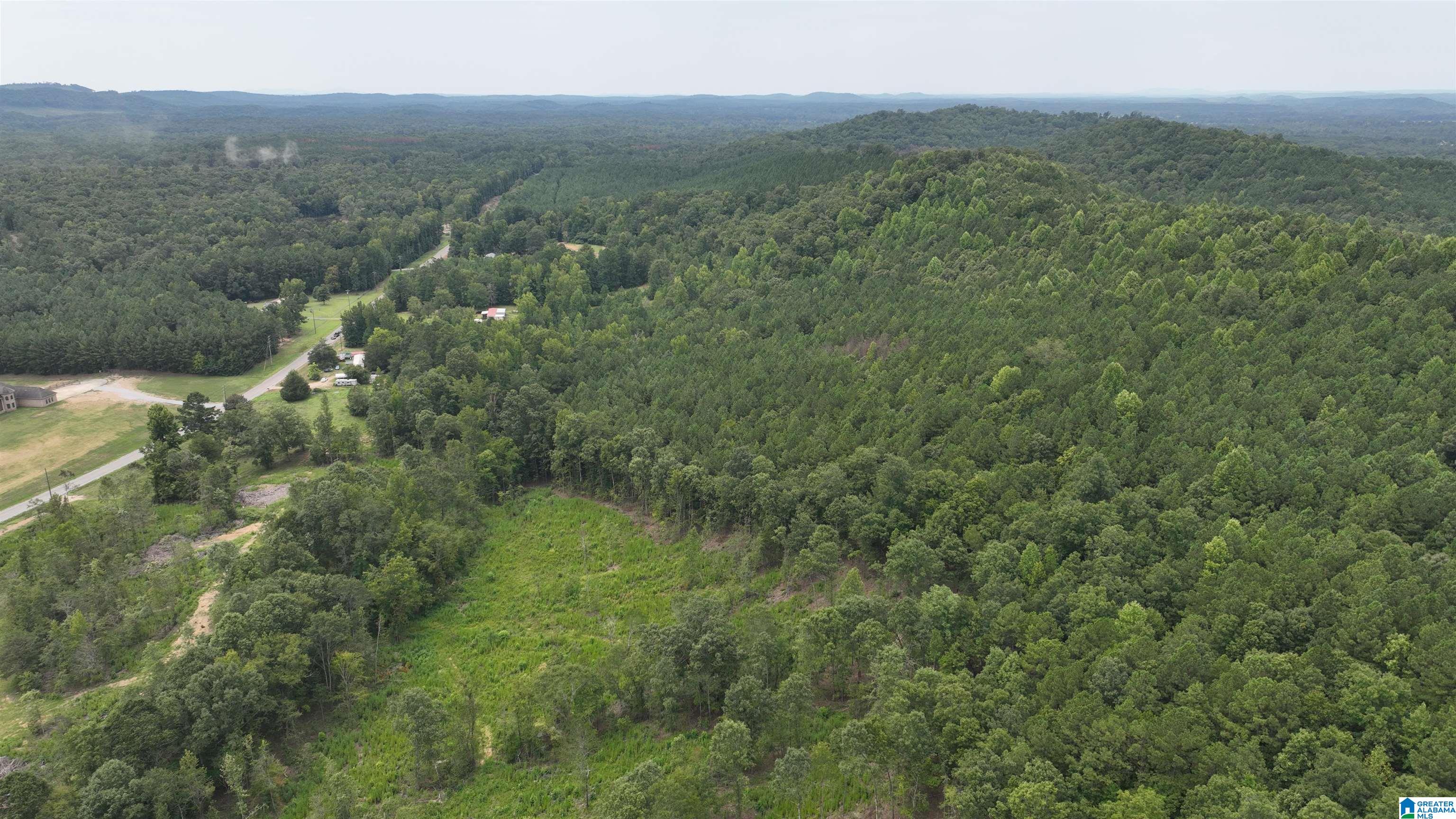 0 Boiling Springs Road Ohatchee, AL 36271 - Photo 4 of 8