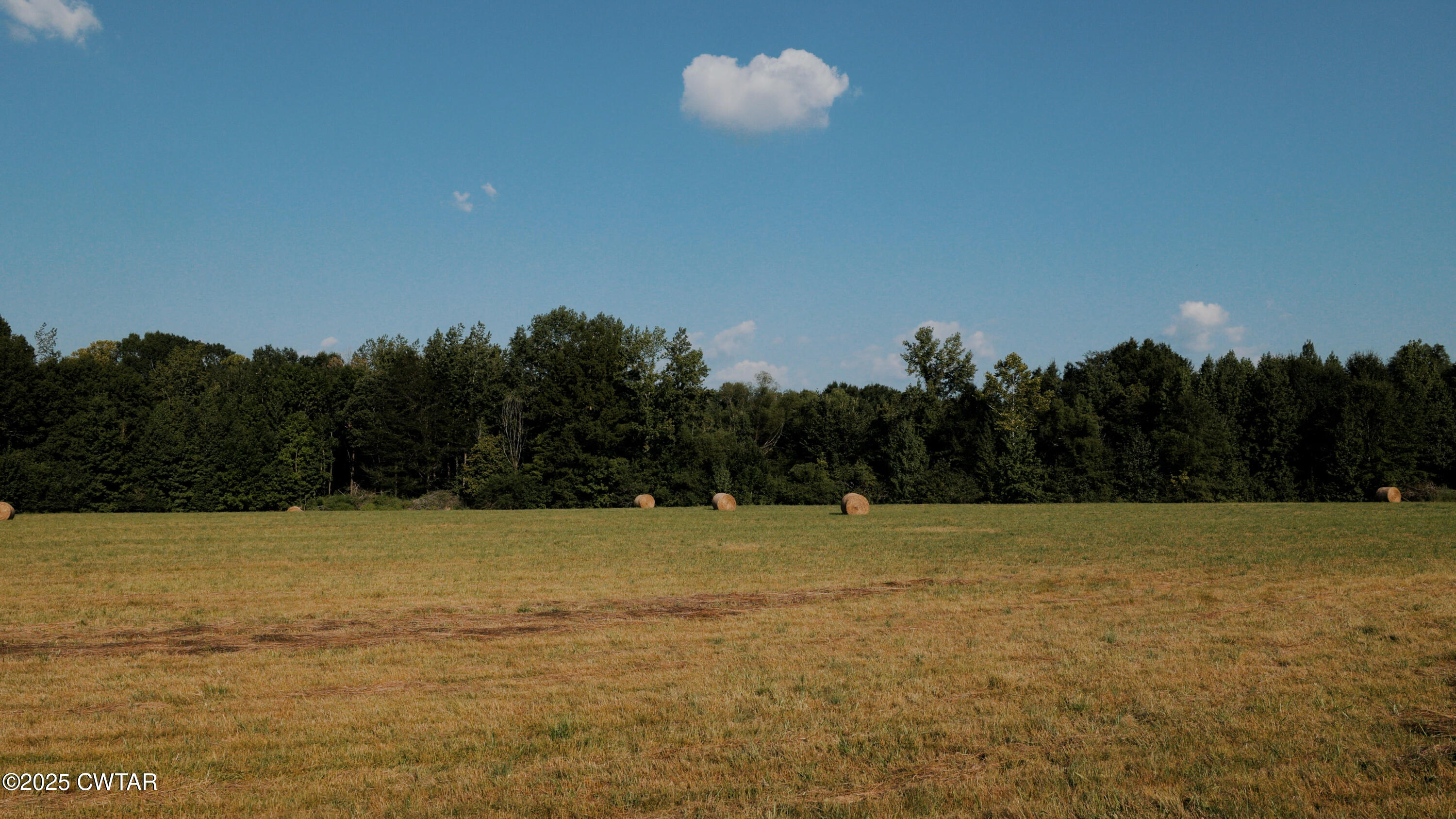 1110 Nuckolls Road Bolivar, TN 38008 - Photo 15 of 15 a view of basketball court
