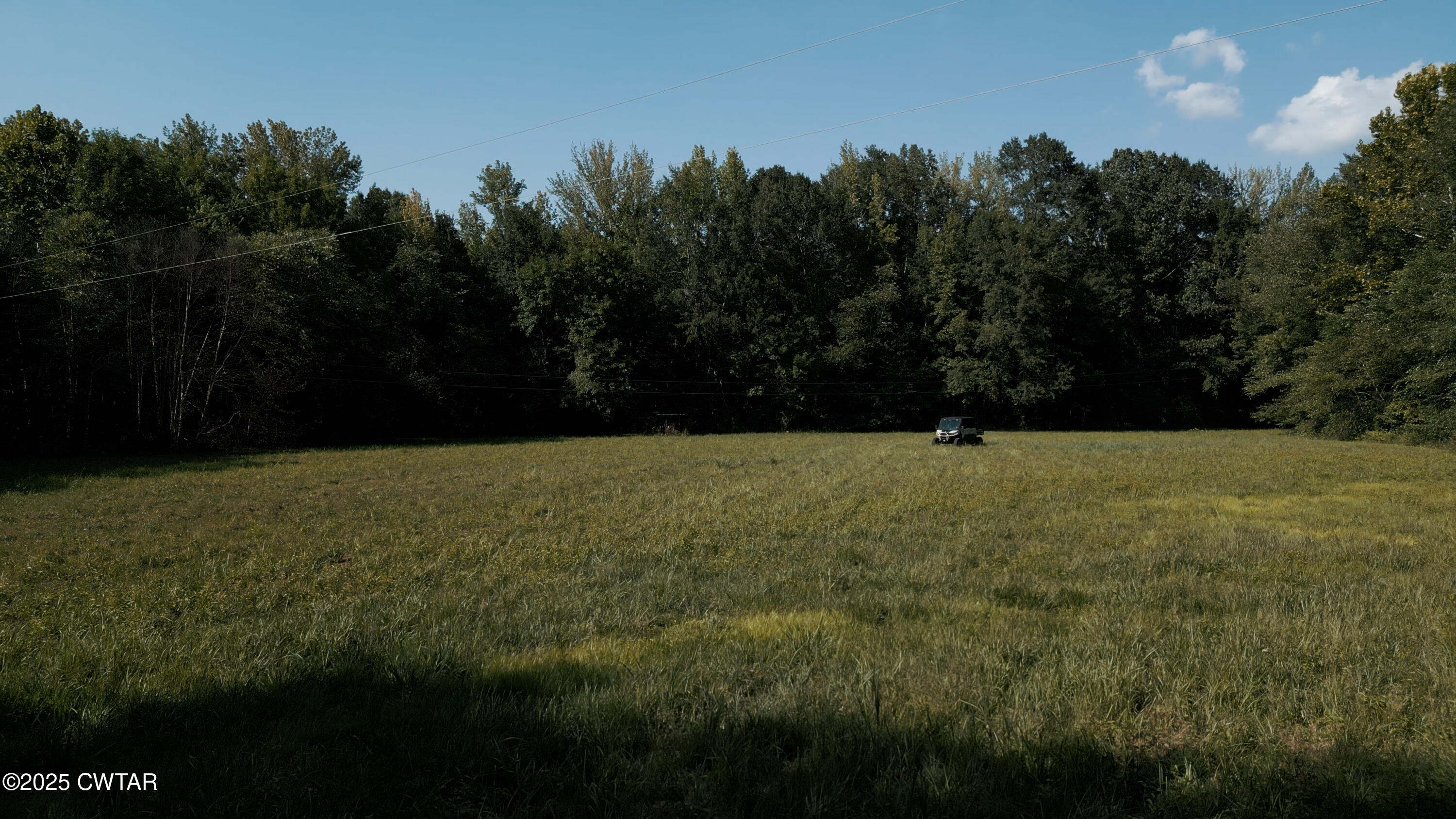 1110 Nuckolls Road Bolivar, TN 38008 - Photo 6 of 15 a view of outdoor space and yard