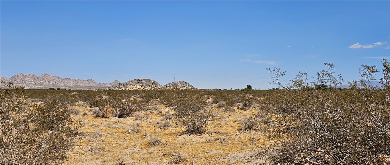 800 Lincoln Road Lucerne Valley, CA 92356 - Photo 6 of 8 Gallery Image 6