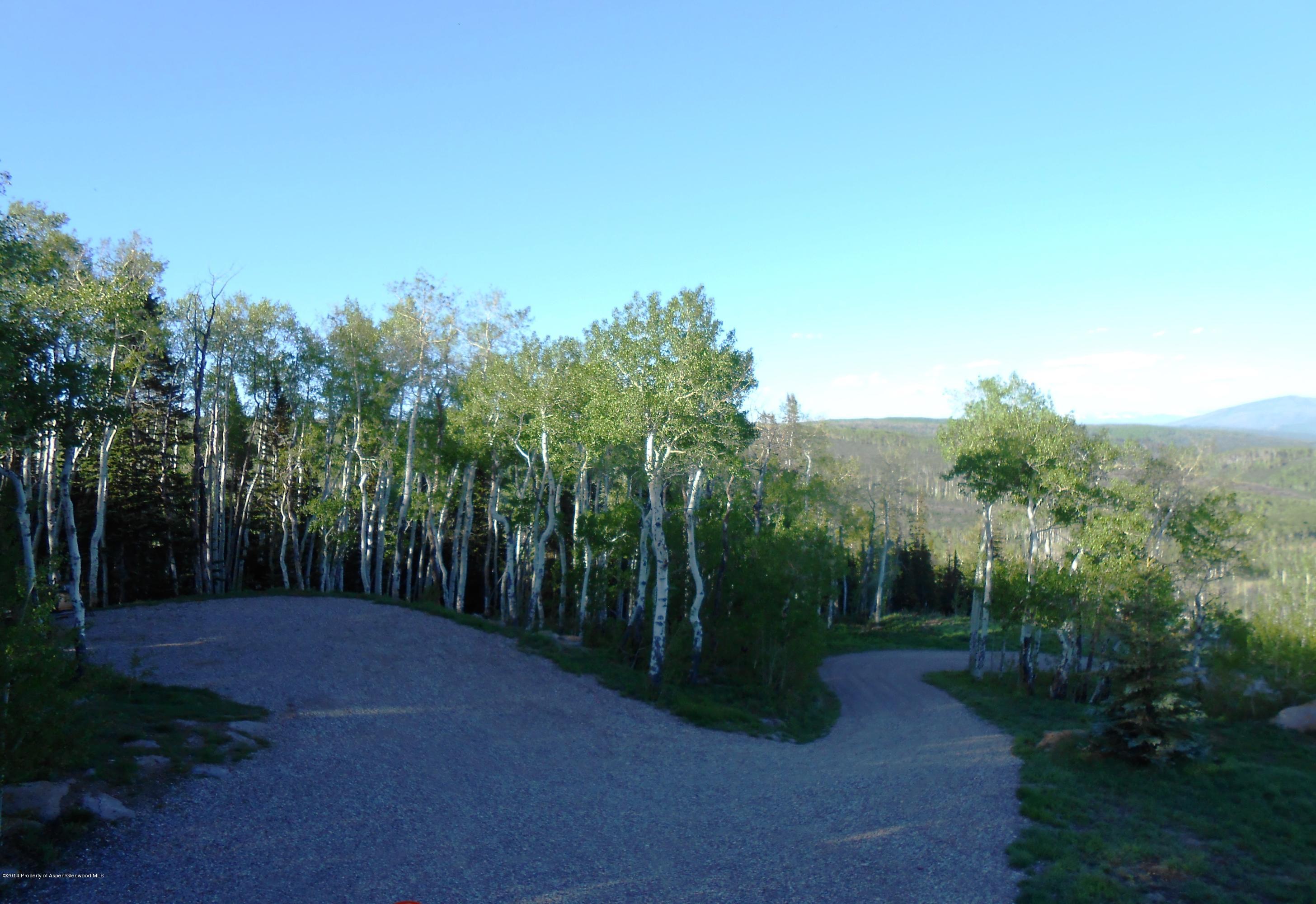630 Foster Ridge Road Glenwood Springs, CO 81601 - Photo 12 of 27 a view of a yard with trees in the background