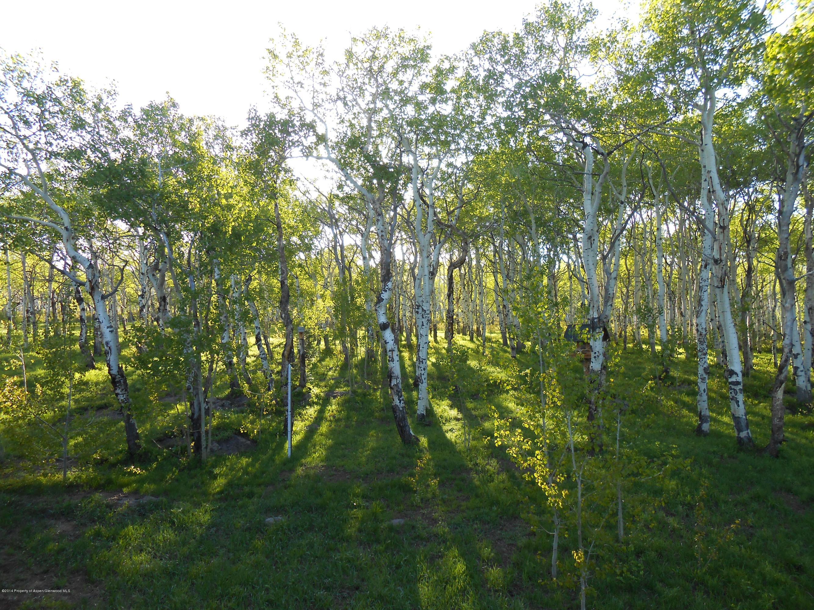 630 Foster Ridge Road Glenwood Springs, CO 81601 - Photo 23 of 27 a view of a yard