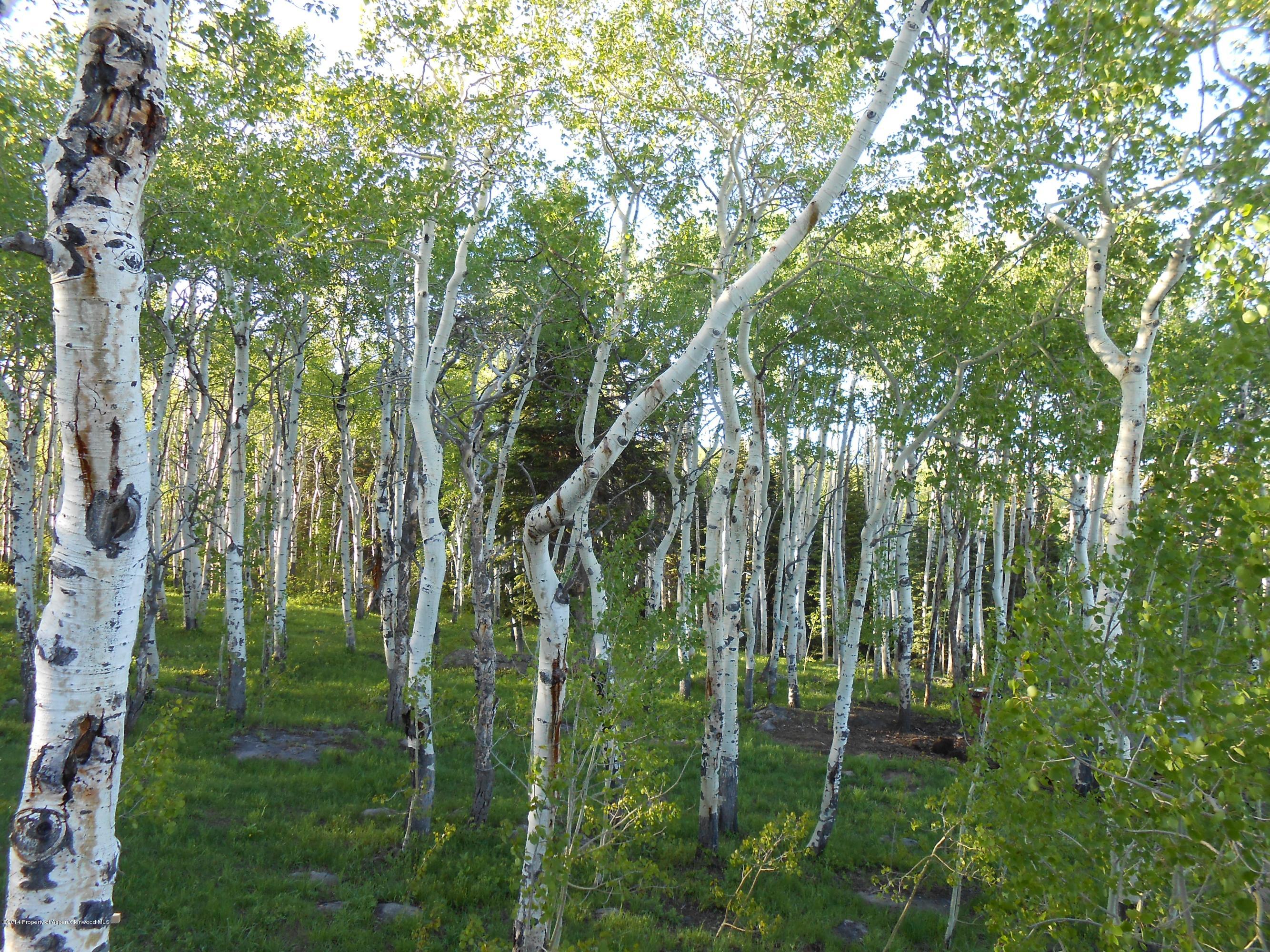 630 Foster Ridge Road Glenwood Springs, CO 81601 - Photo 24 of 27