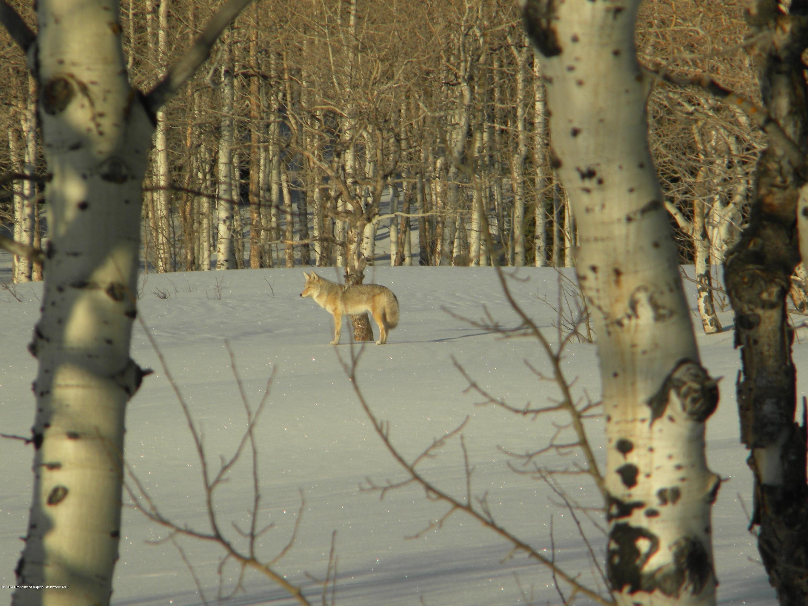 630 Foster Ridge Road Glenwood Springs, CO 81601 - Photo 27 of 27 a bathroom with a shower