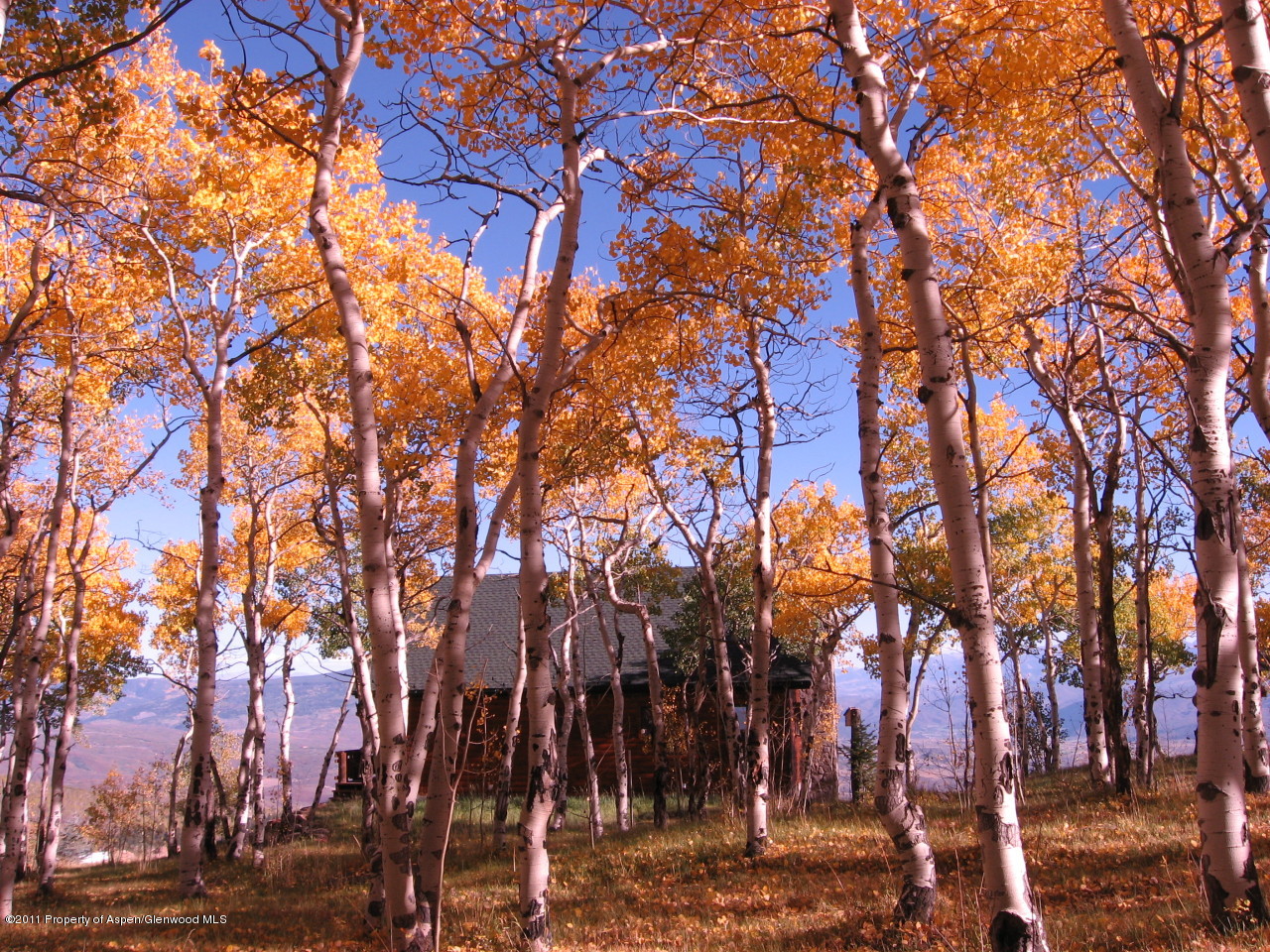 630 Foster Ridge Road Glenwood Springs, CO 81601 - Photo 6 of 27 a view of a yard