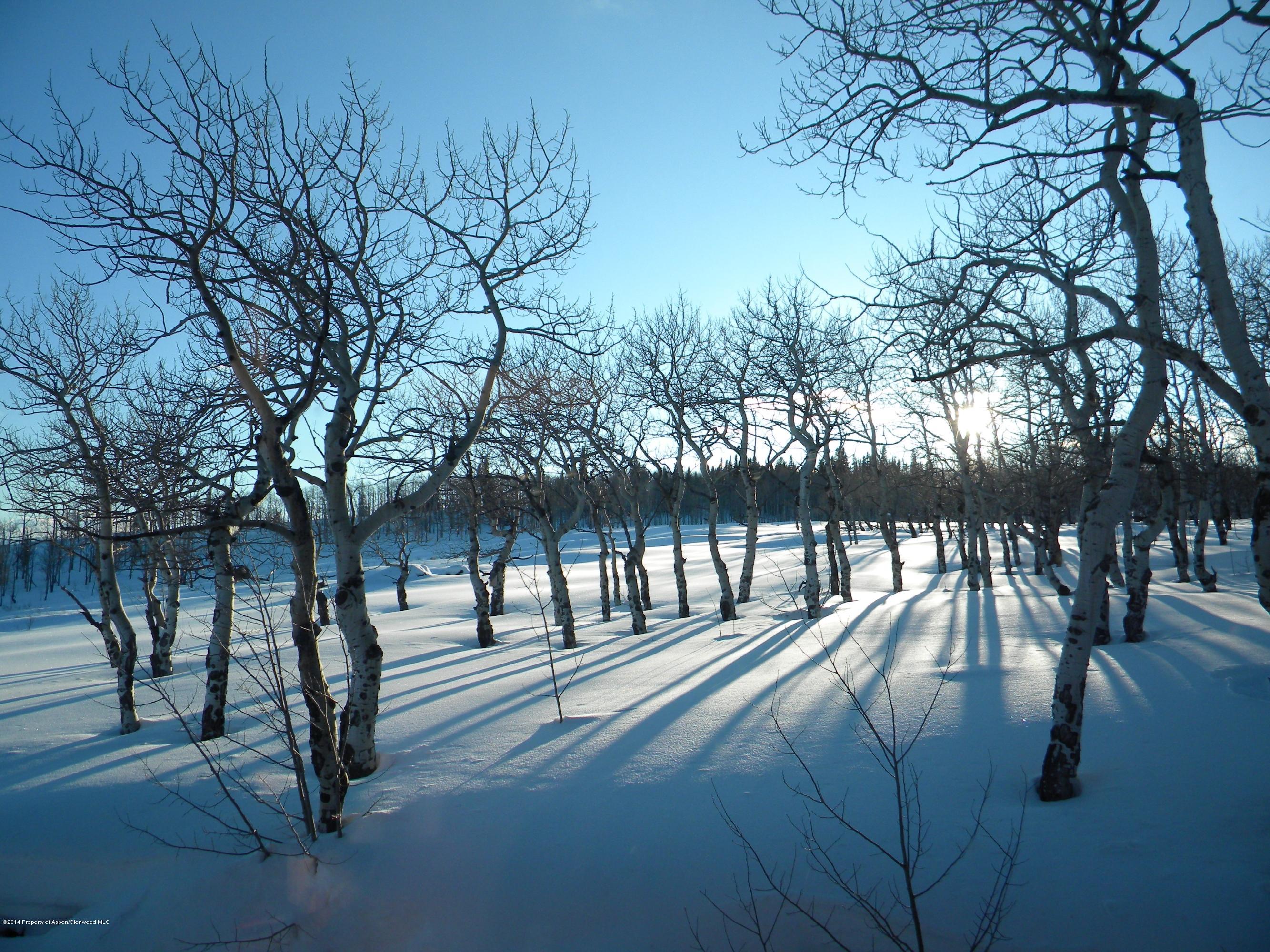 630 Foster Ridge Road Glenwood Springs, CO 81601 - Photo 10 of 27 a view of yard