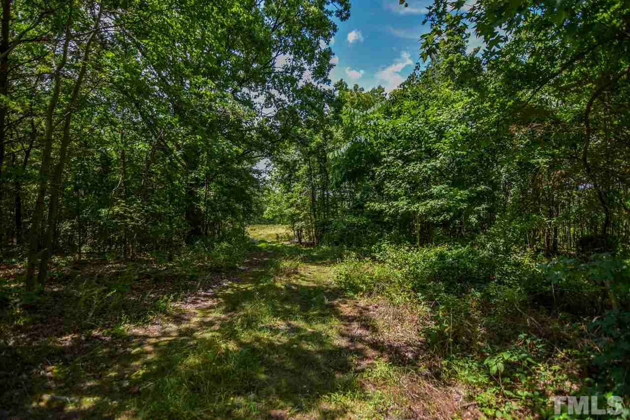 25-acres Oxford Road Rougemont, NC 27572 - Photo 11 of 14