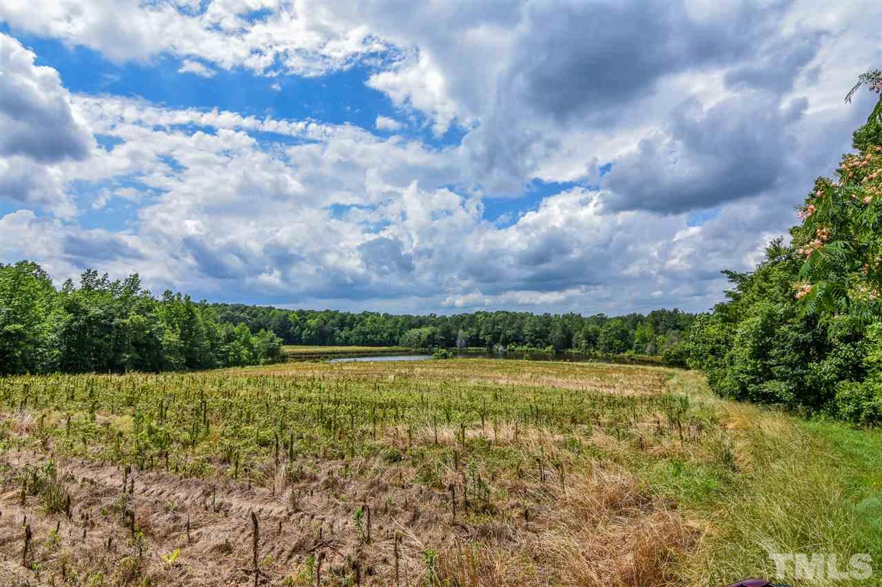 25-acres Oxford Road Rougemont, NC 27572 - Photo 13 of 14