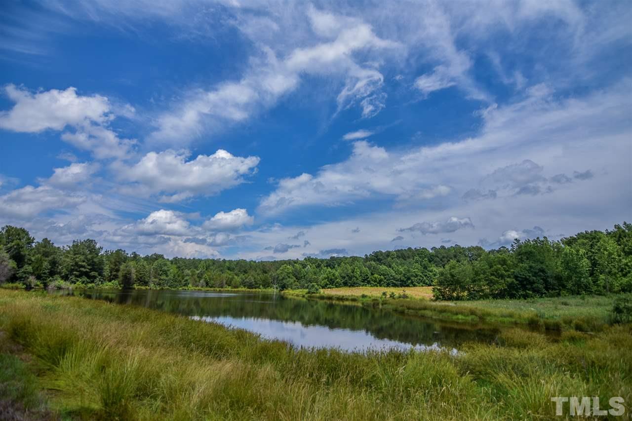 25-acres Oxford Road Rougemont, NC 27572 - Photo 3 of 14