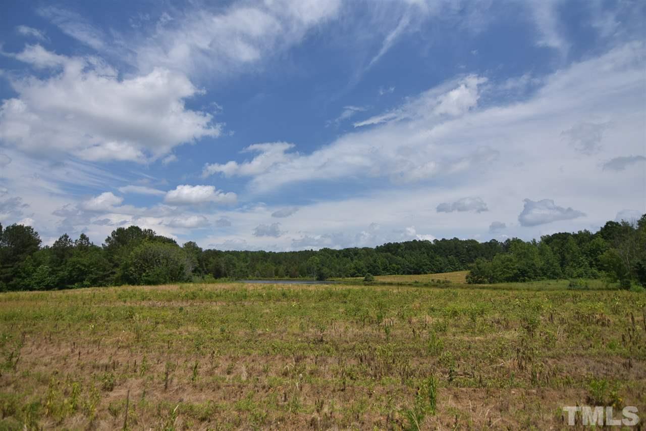 25-acres Oxford Road Rougemont, NC 27572 - Photo 4 of 14