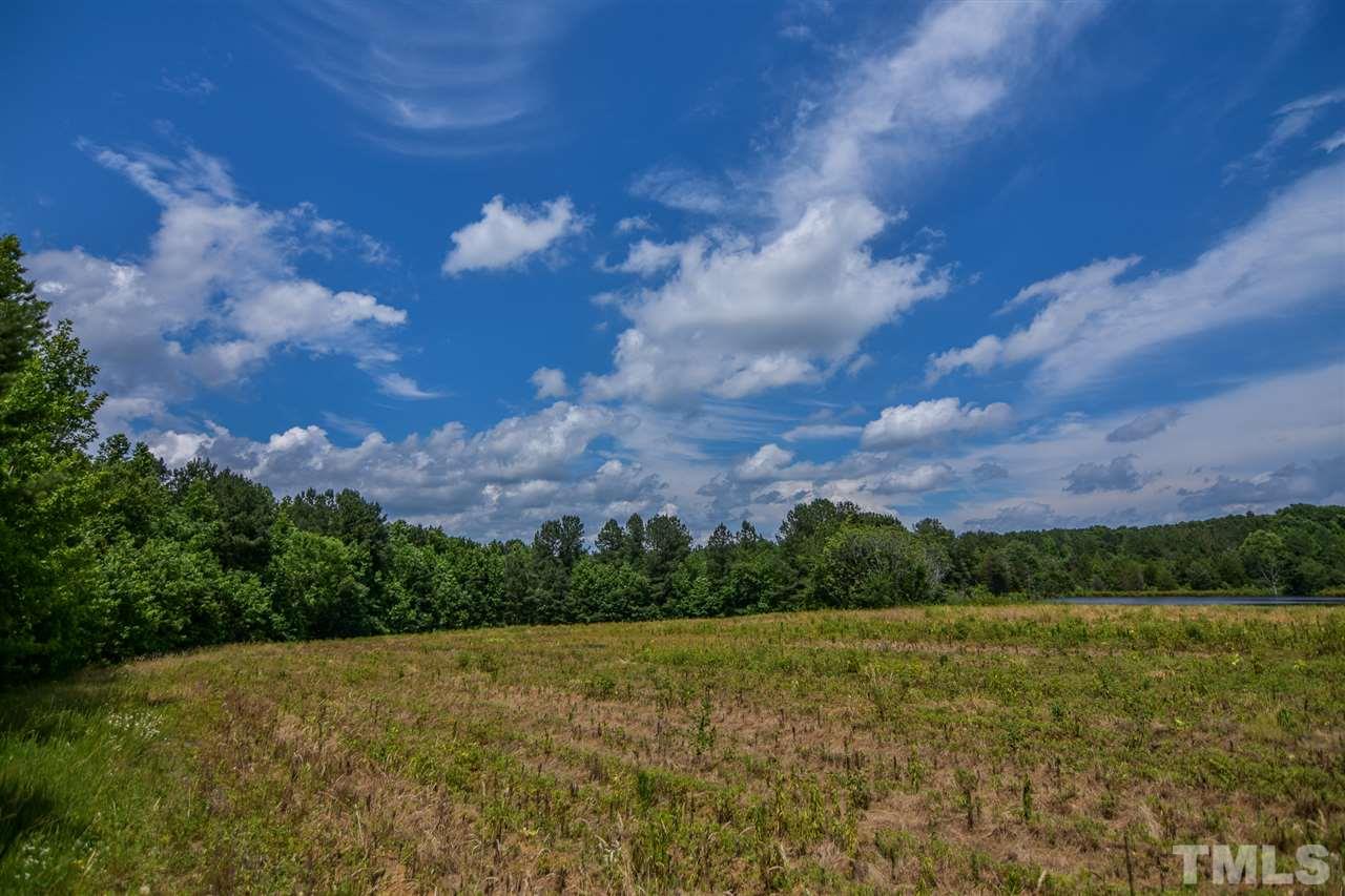 25-acres Oxford Road Rougemont, NC 27572 - Photo 5 of 14