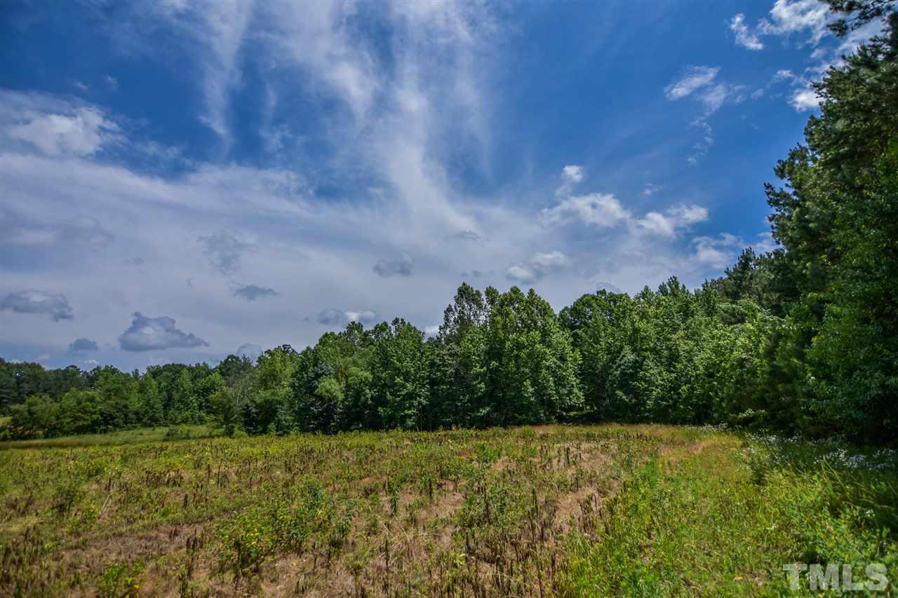 25-acres Oxford Road Rougemont, NC 27572 - Photo 7 of 14