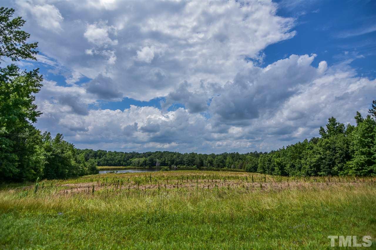 25-acres Oxford Road Rougemont, NC 27572 - Photo 8 of 14
