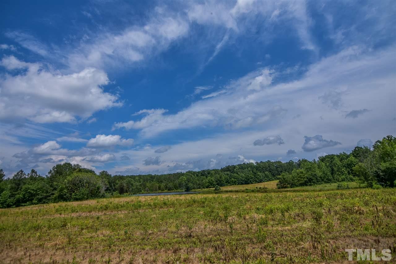 25-acres Oxford Road Rougemont, NC 27572 - Photo 9 of 14