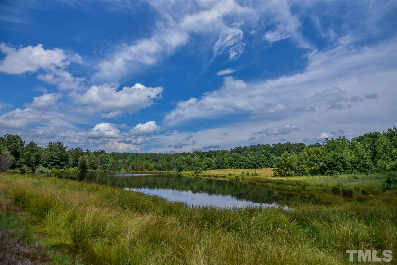 25-acres Oxford Road Rougemont, NC 27572 - Photo 10 of 14