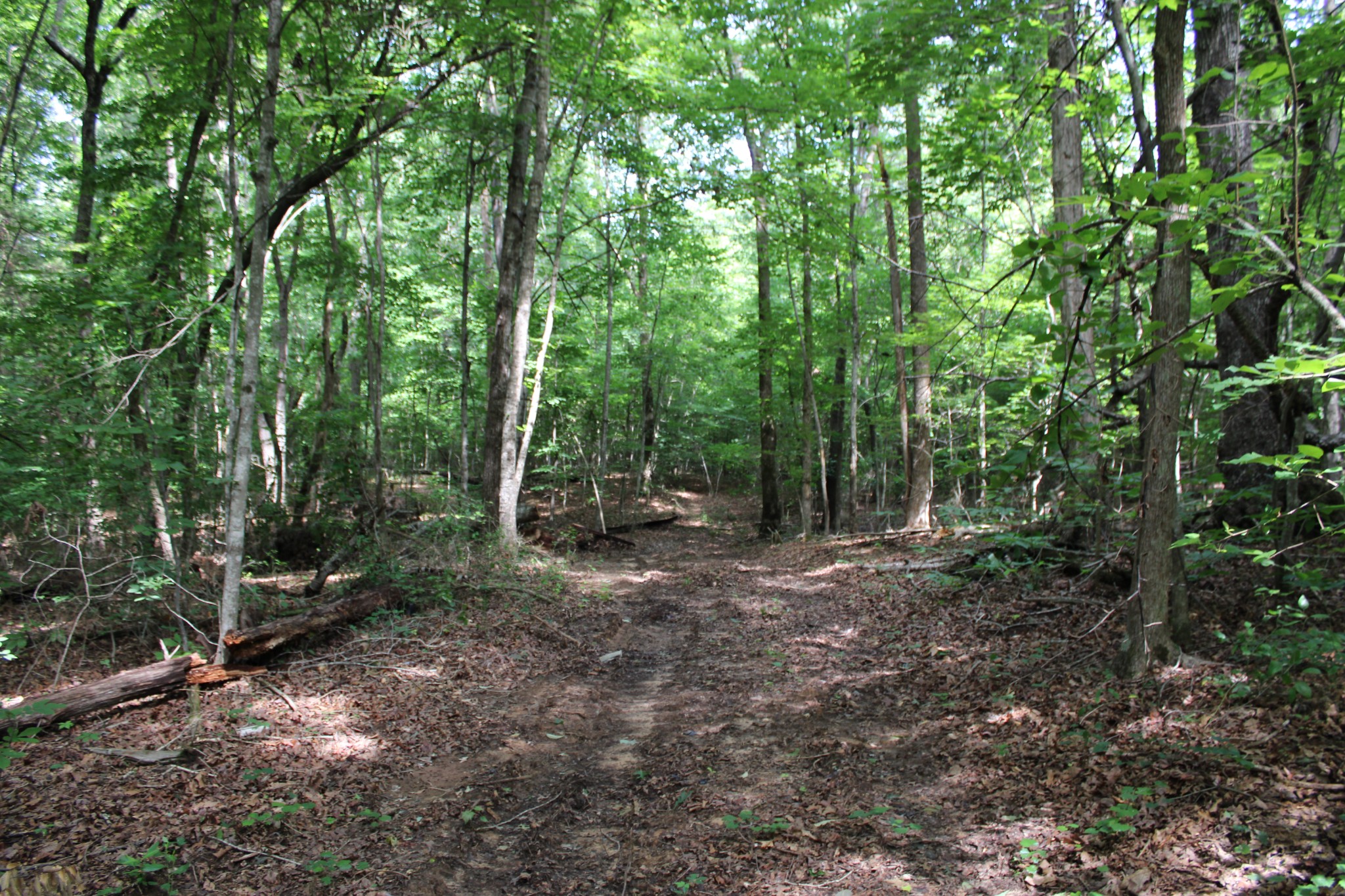 612 Bost Road McMinnville, TN 37110 - Photo 39 of 47
