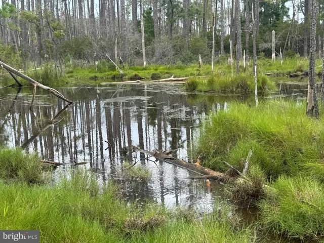 $725,000 | Farm Creek, Wingate, MD 21675