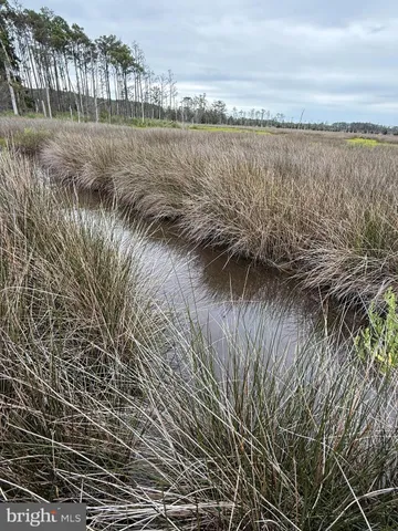 $725,000 | Farm Creek, Wingate, MD 21675