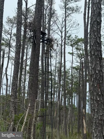 $725,000 | Farm Creek, Wingate, MD 21675