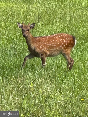 $725,000 | Farm Creek, Wingate, MD 21675