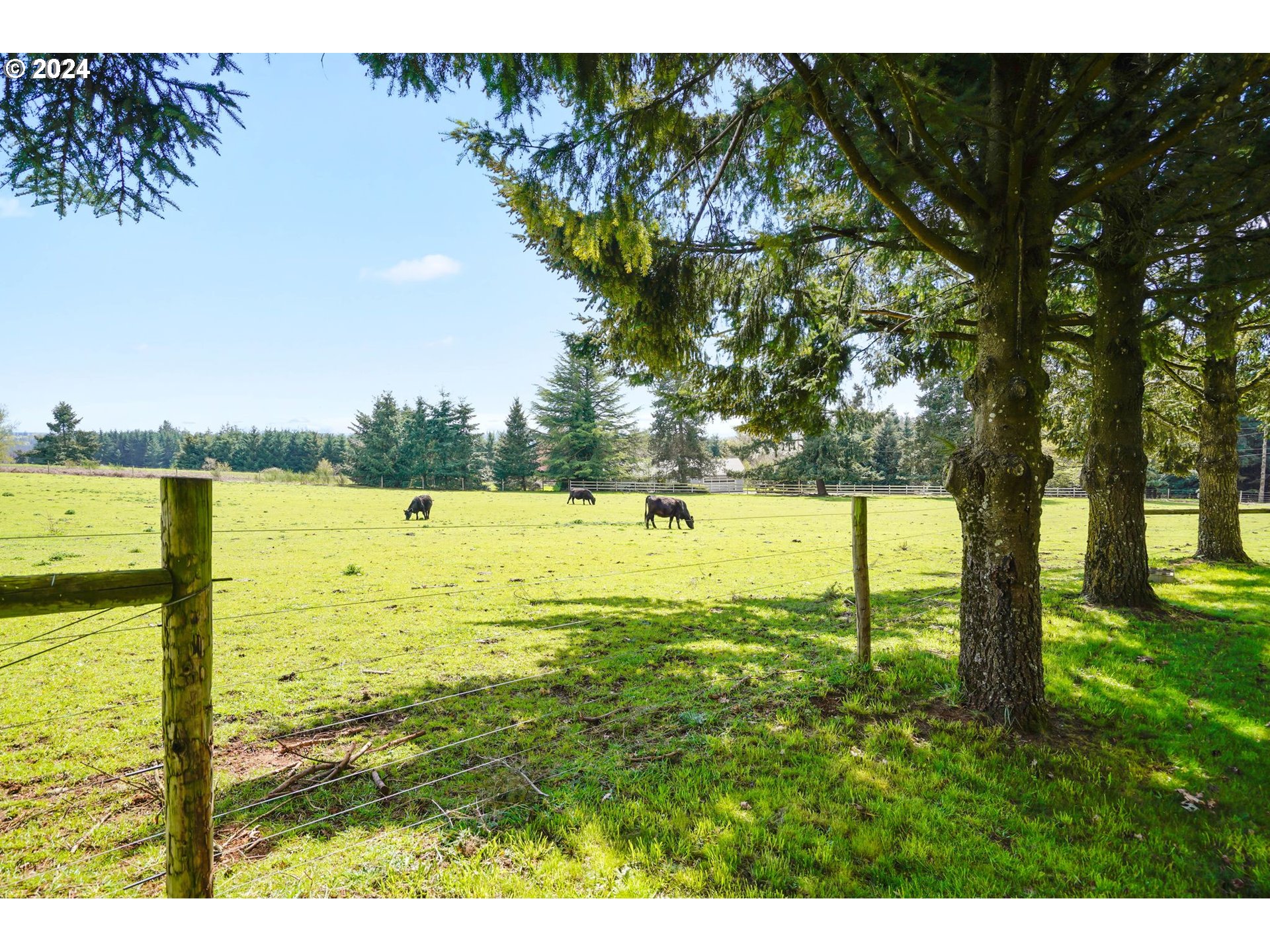 15013 Fern Ridge Road Southeast Stayton, OR 97383 - Photo 22 of 25 Gallery Image 22