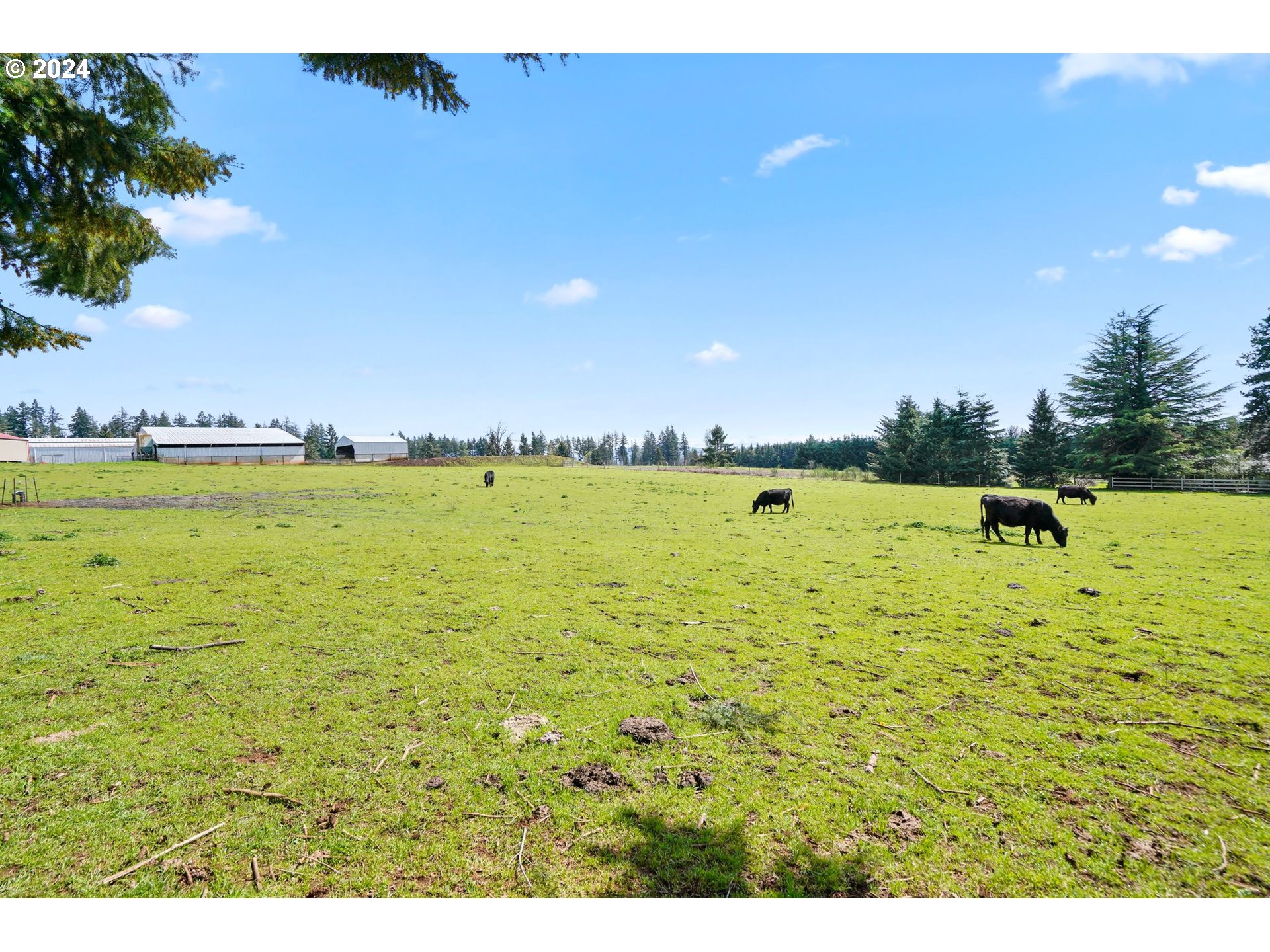 15013 Fern Ridge Road Southeast Stayton, OR 97383 - Photo 4 of 25 Gallery Image 4