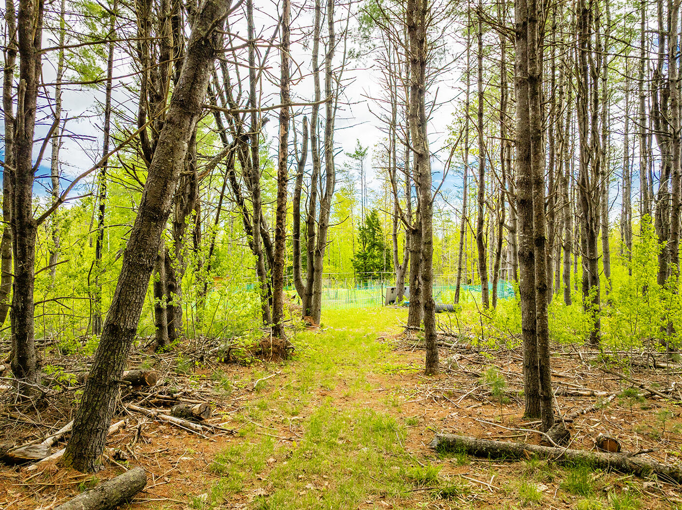 572 Old County Road Washington, ME 04574 - Photo 25 of 32 DJI_0244