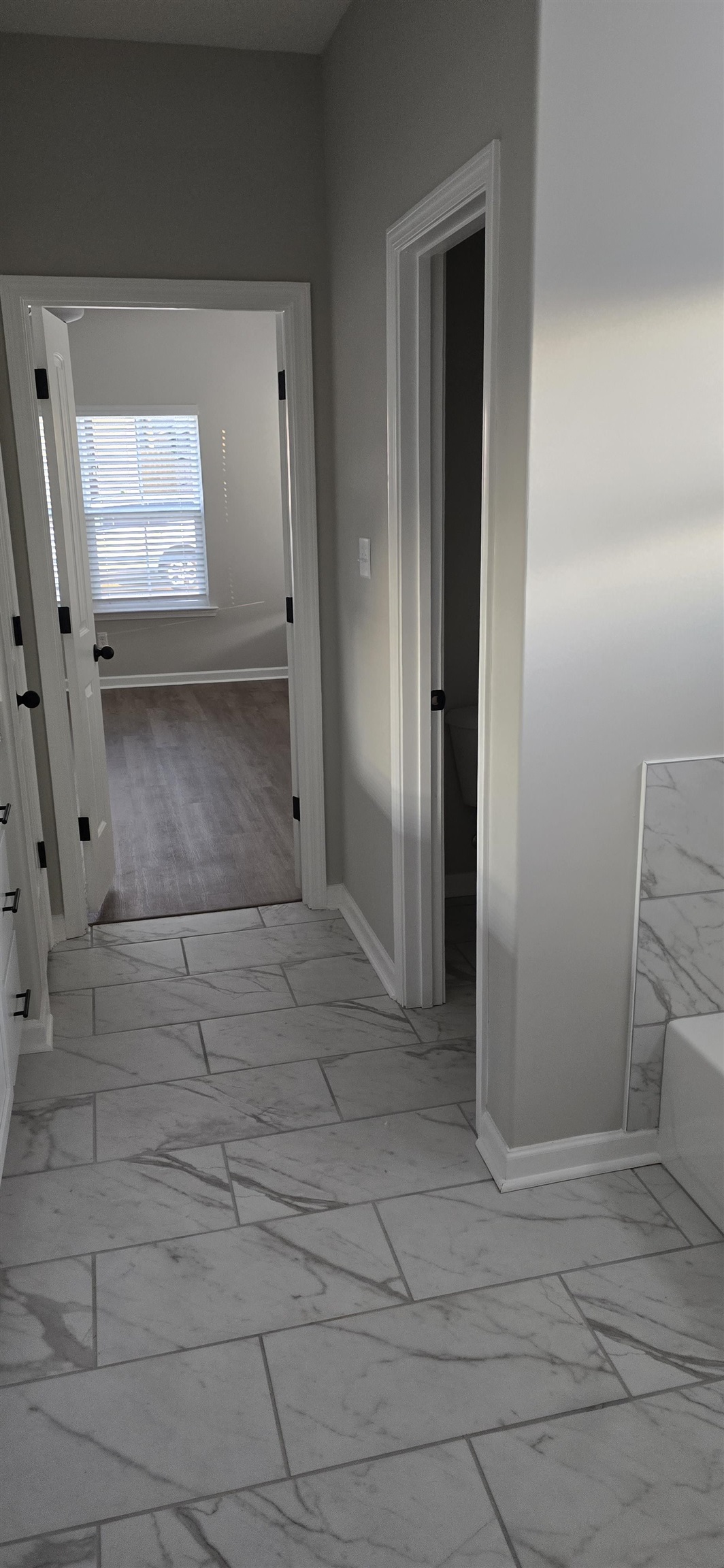 10148 Sterling Ridge Drive Cordova, TN 38018 - Photo 29 of 39