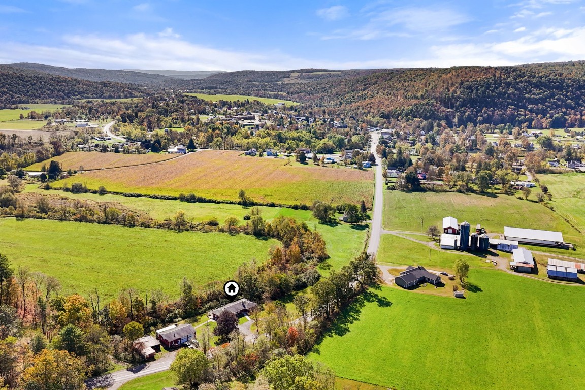 79 Honeypot Road Candor, NY 13743 - Photo 23 of 24