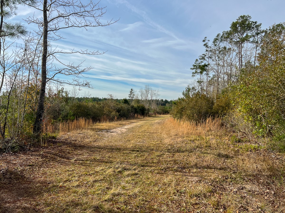 T-4 T-4 Tall Cotton Road Saratoga, TX 77585 - Photo 28 of 34