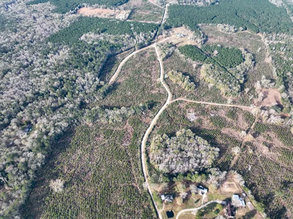 $99,000 | T-4 T-4 Tall Cotton Road, Saratoga, TX 77585