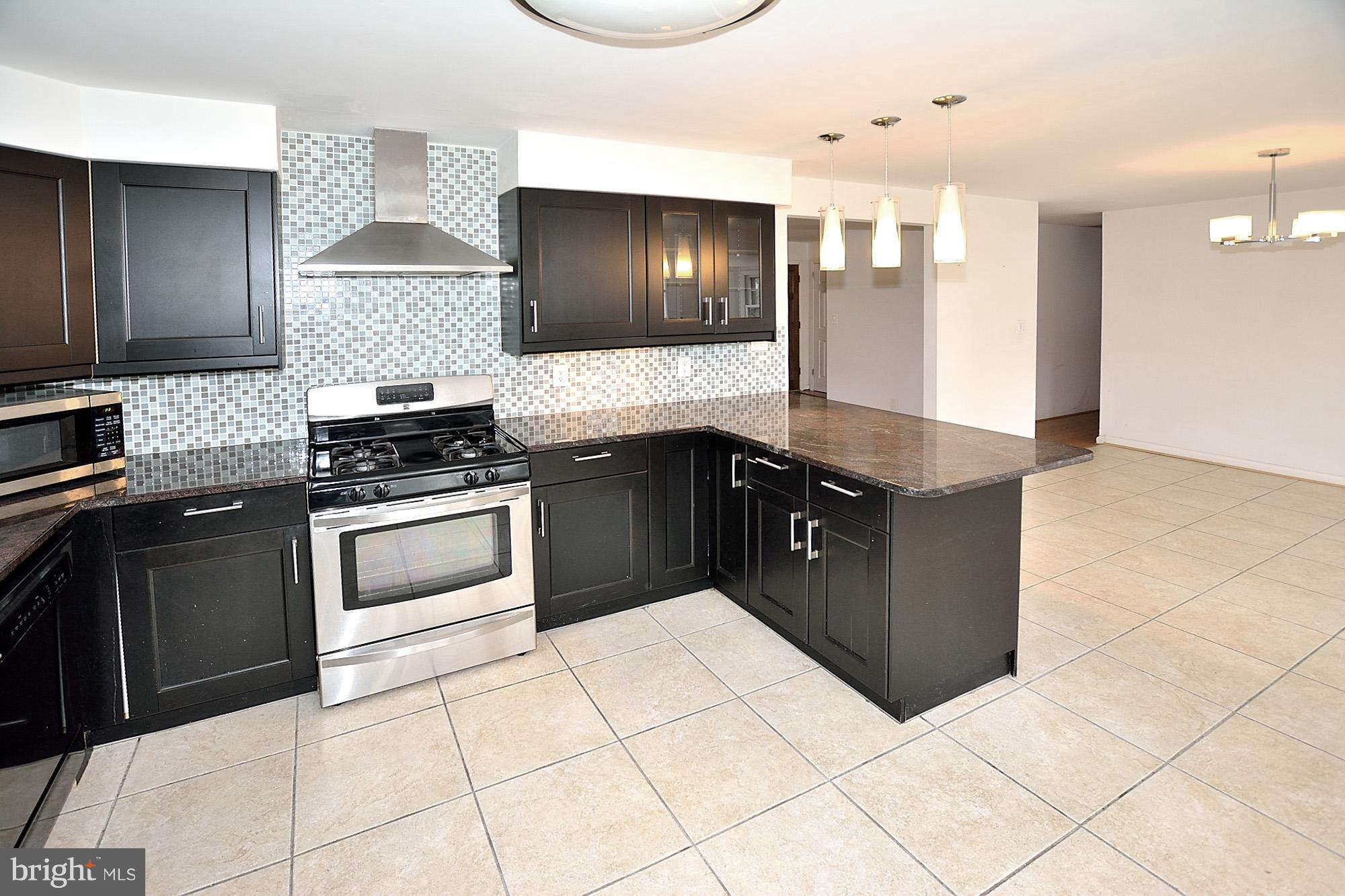 6149 Loch Raven Drive McLean, VA 22101 - Photo 3 of 29 Gourmet Kitchen w/Granite & SS Appls