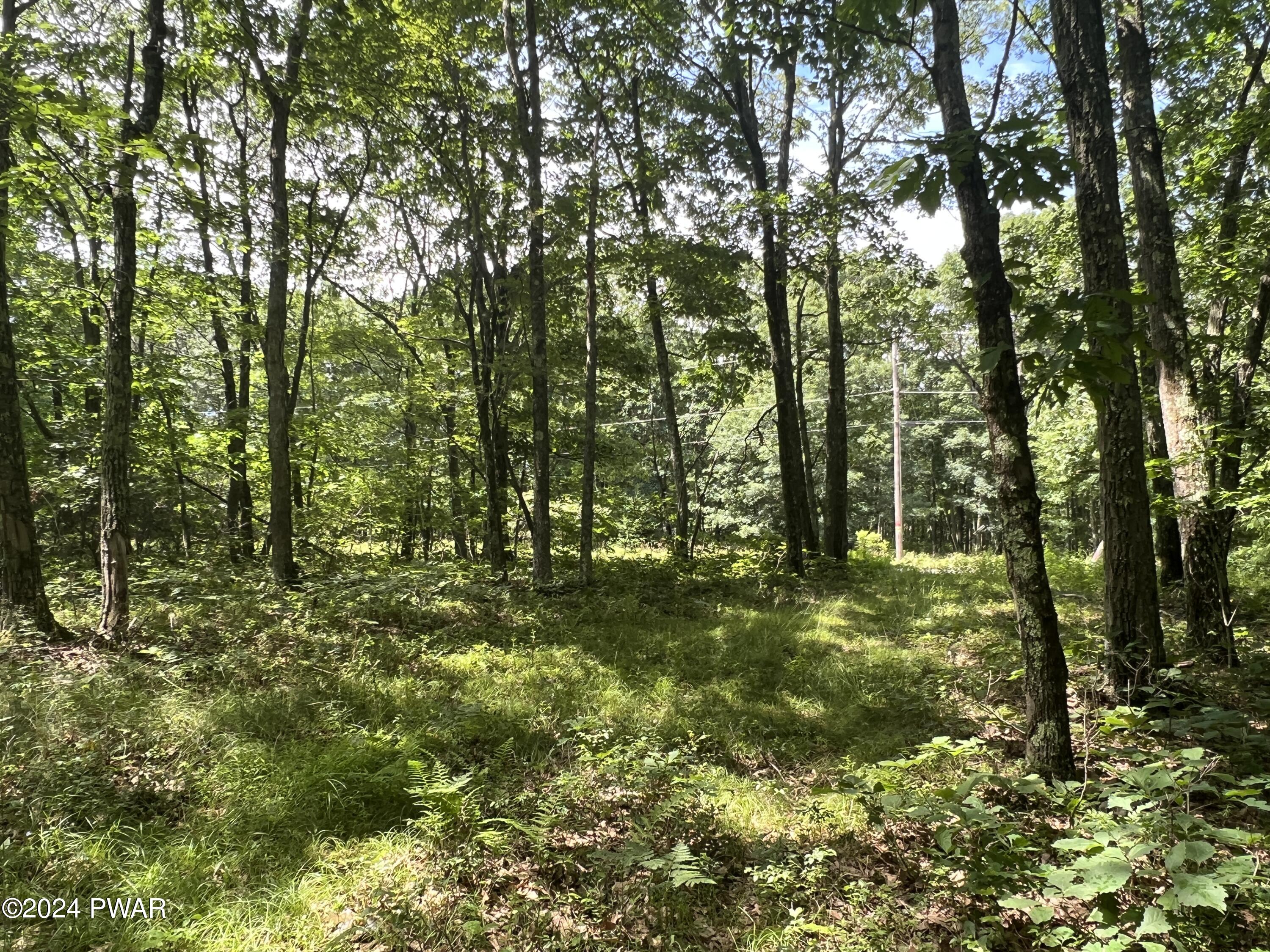 Bloss Road Canadensis, PA 18325 - Photo 4 of 21 Flat Land