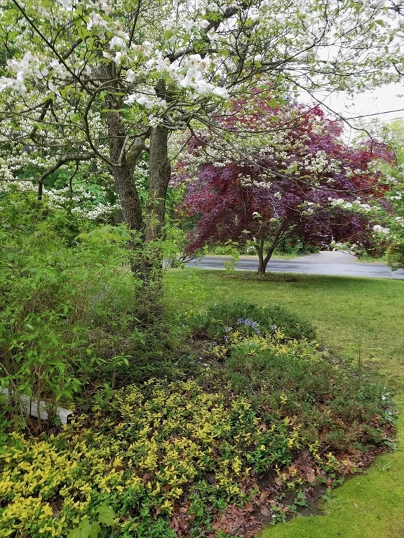 14 McClelland Road Halifax, MA 02338 - Photo 34 of 40 Gallery Image 34