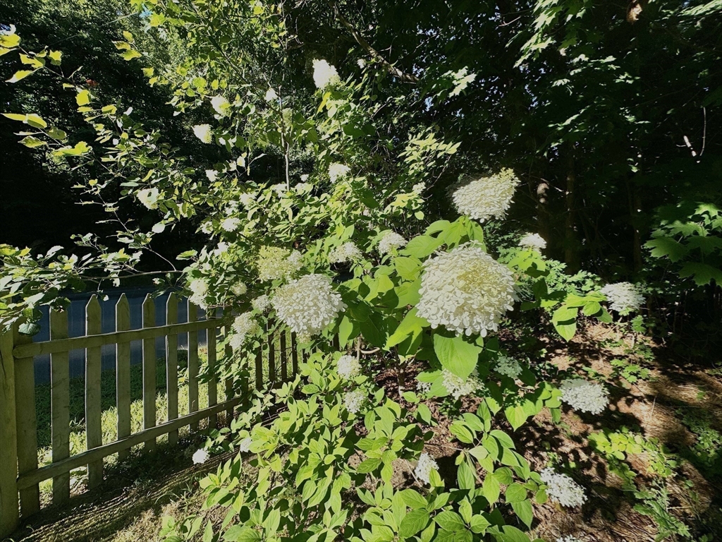 14 McClelland Road Halifax, MA 02338 - Photo 37 of 40 Gallery Image 37