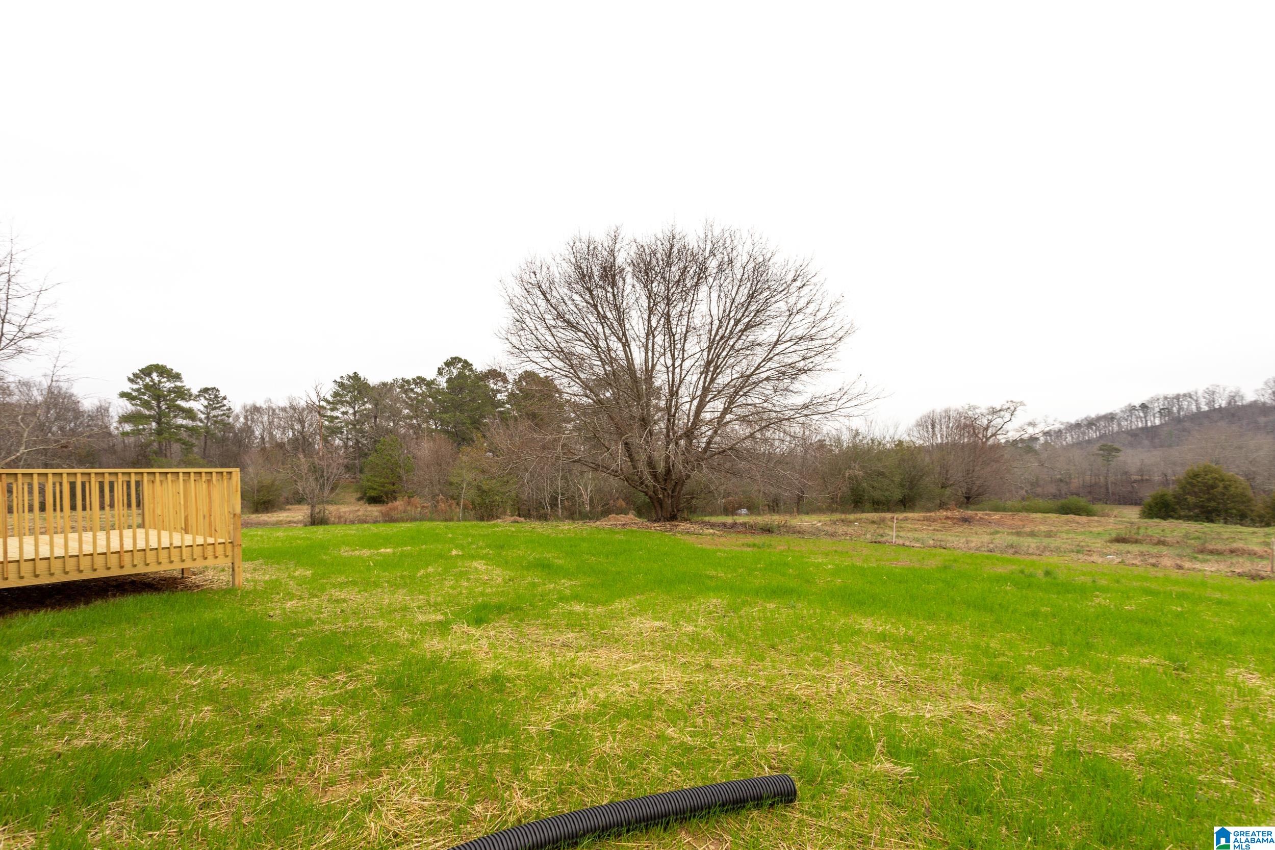 85 Grants Road Ohatchee, AL 36271 - Photo 32 of 36