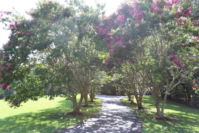 $862,500 | 19322 Wyatts Way, Evington, VA 24550