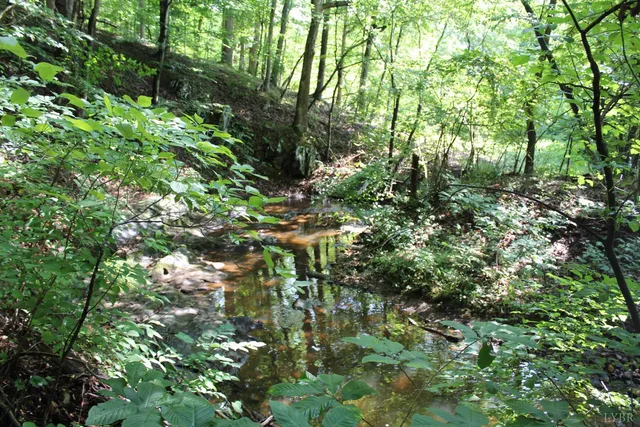 $862,500 | 19322 Wyatts Way, Evington, VA 24550