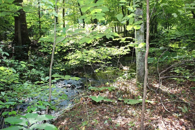 $862,500 | 19322 Wyatts Way, Evington, VA 24550