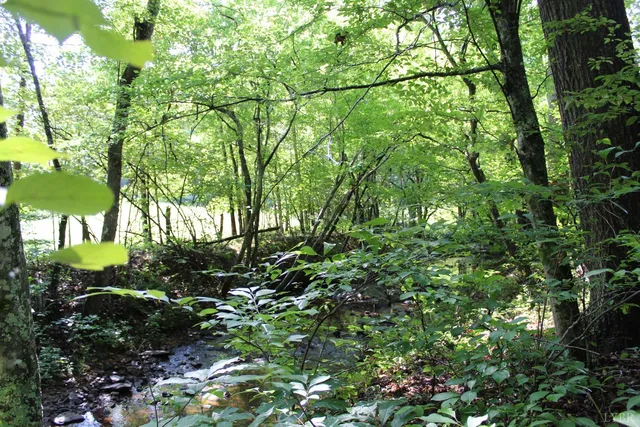 $862,500 | 19322 Wyatts Way, Evington, VA 24550