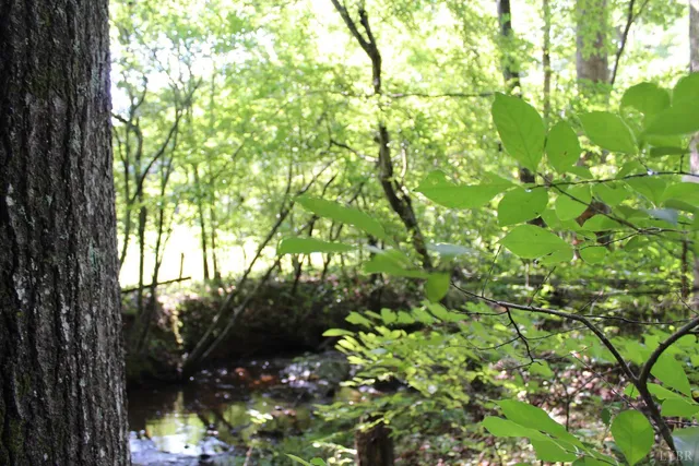 $862,500 | 19322 Wyatts Way, Evington, VA 24550