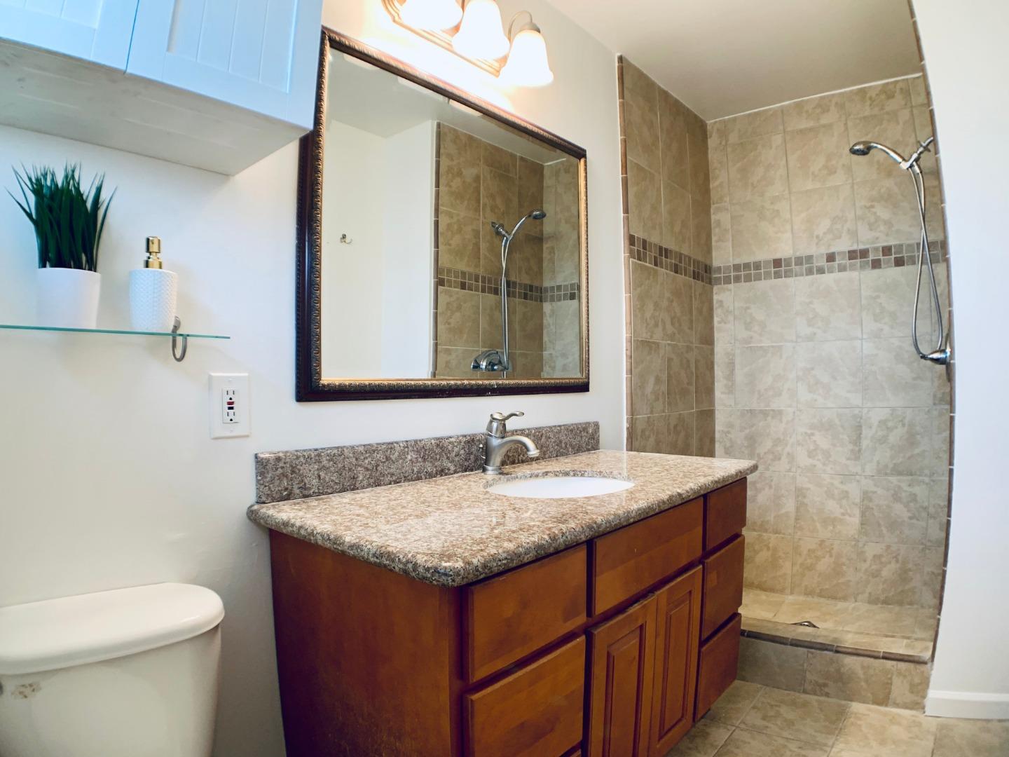 2432 Rinconada Drive San Jose, CA 95125 - Photo 26 of 33 a bathroom with a sink and a mirror