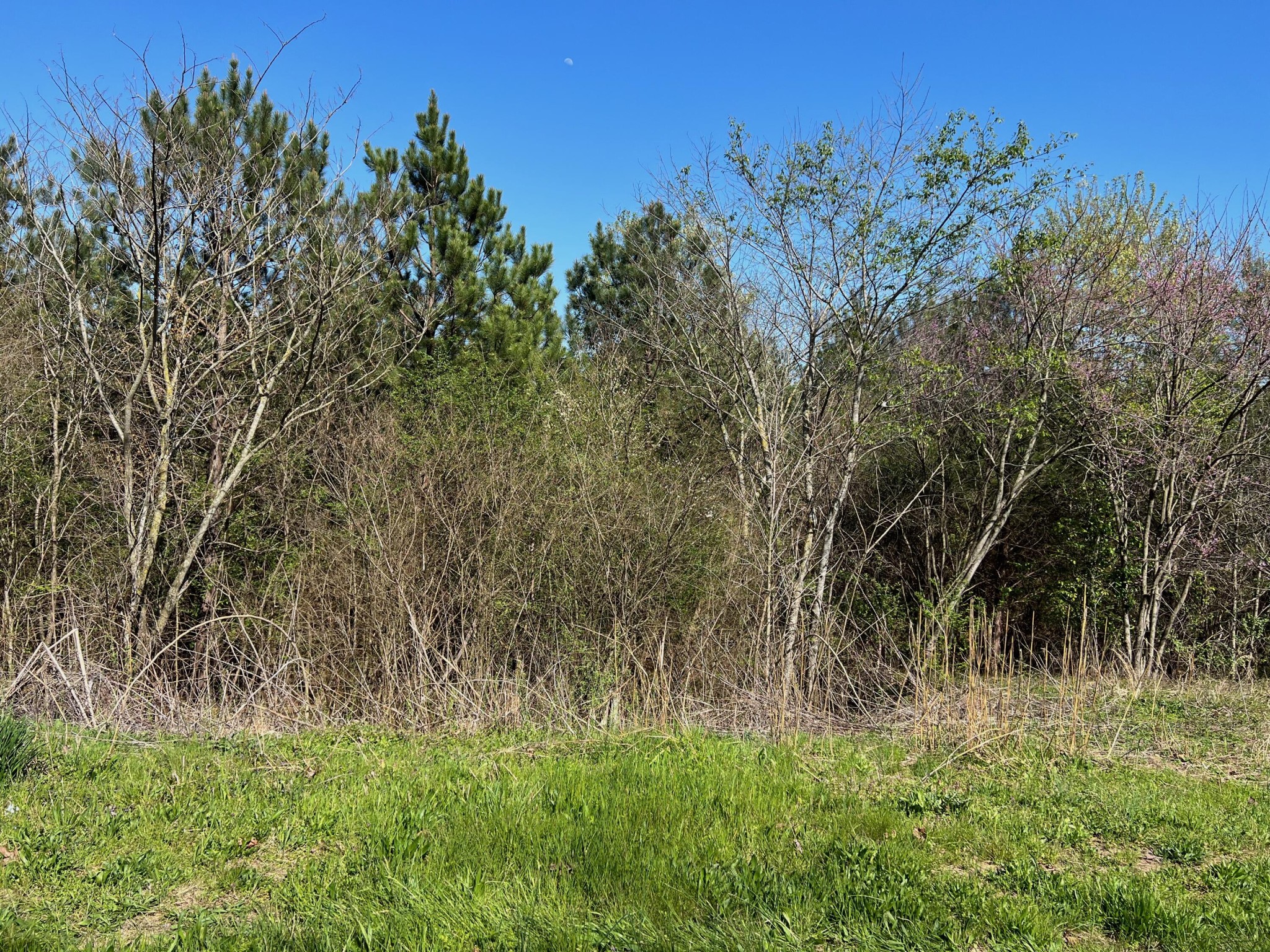 17 Southeast Spring Place Road Southeast Old Fort, TN 37362 - Photo 3 of 13