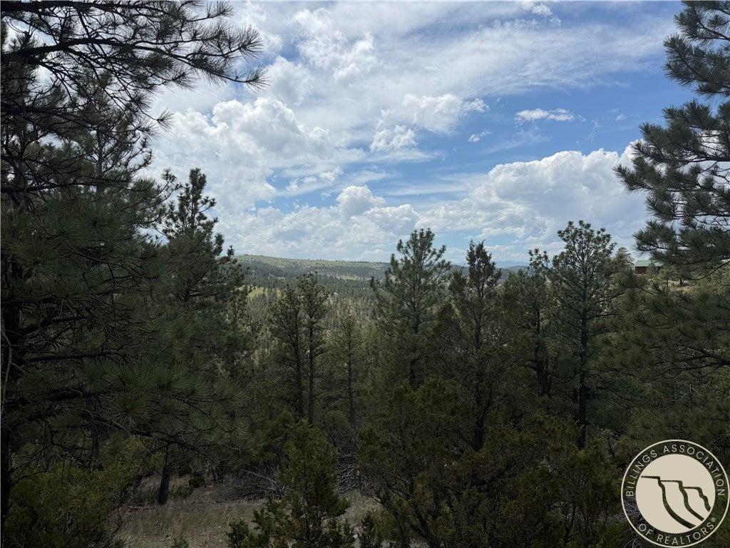 40 Granite Peak Road Reed Point, MT 59069 - Photo 2 of 6 Gallery Image 2