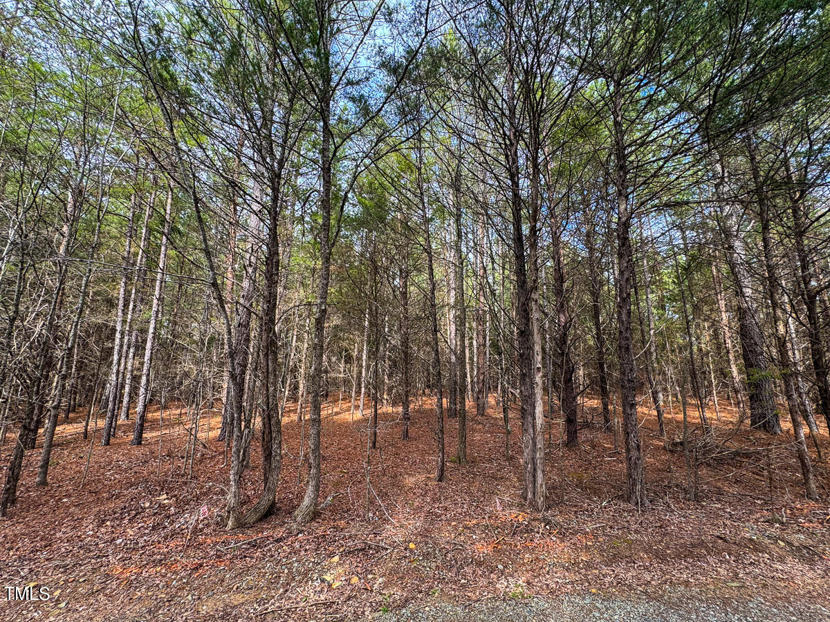 0 Southern High School Road Graham, NC 27253 - Photo 19 of 61 Alamance Co. NC 5.98-Backwoods-The Oaks-